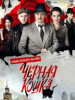 Чёрная кошка