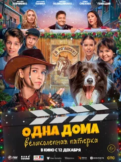 Одна дома: Великолепная пятерка